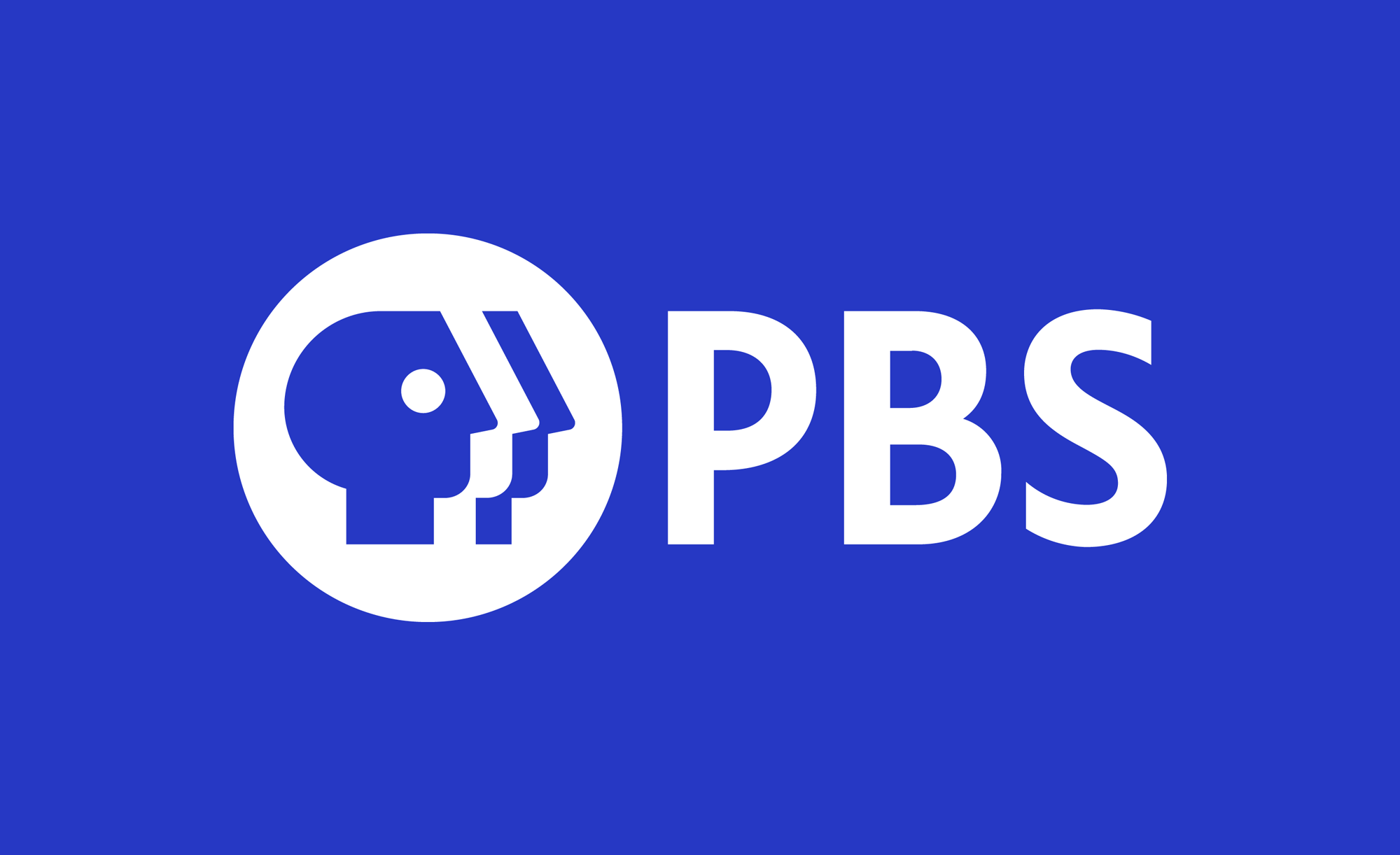 https://sensibleshoes.tv/wp-content/uploads/2020/06/pbs_2019_logo.png